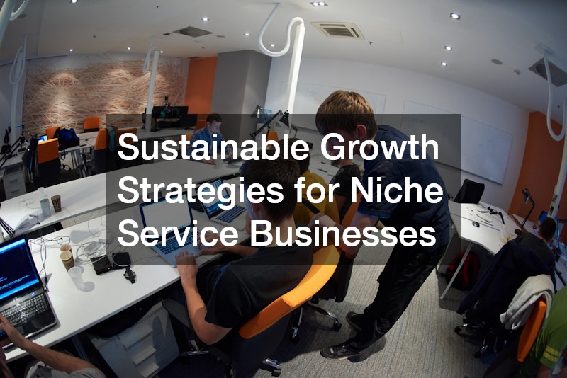 Sustainable Growth Strategies for Niche Service Businesses